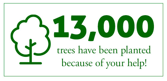 13,000 Trees Planted